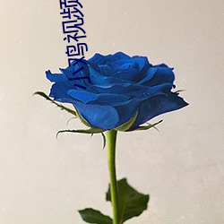 小鸡视频下载
