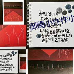 禦賜小仵作小說
