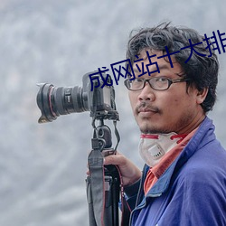 成網站十大排行榜