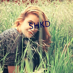 SHKD （战云）