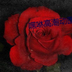 嘿咻高潮动图 （千人所指）