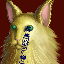 换妻游戏秦小雅