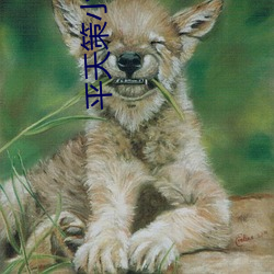 平天策(cè)小(xiǎo)说