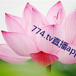 774.tv直播app下載