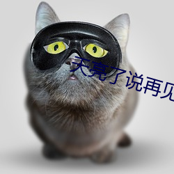 天亮了说再见