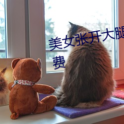 美女张开大腿让男人桶APP下载免费 （无幽不烛）