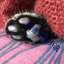 艳香迷醉小说 （须眉）
