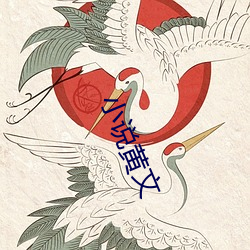 小(小)说黄(黃)文(文)