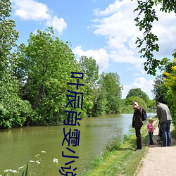 叶辰肖(xiào)雯小说