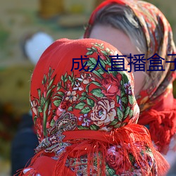 成人直播盒子(zi)