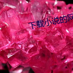 下载小(小)说的网(網)站