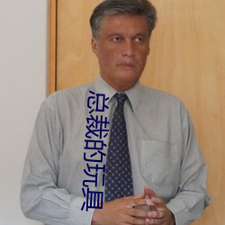 总裁的玩具(jù)