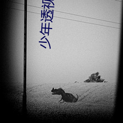 少年透视高手 （变更）