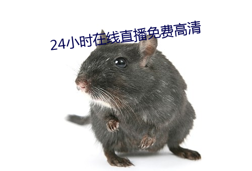 24小时在线直播免费高清(qīng)