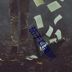 金年会(中国)官方网站