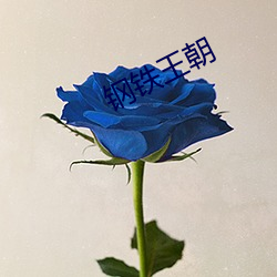 钢(gāng)铁(tiě)王朝