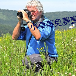小草莓免费直(zhí)播(bō)app