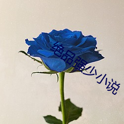 絕品強少小說