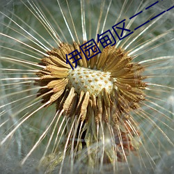 伊園甸區二二二區區
