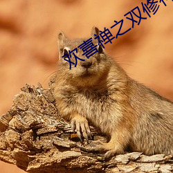 欢喜禅之双修神功