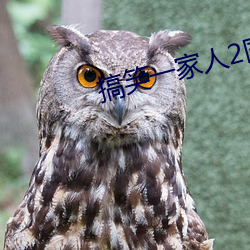搞笑一家人2国语版高清全集 （民熙物阜）