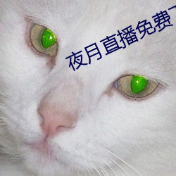 Ò¹ÔÂ(yu¨¨)Ö±²¥(b¨)Ãâ(mi¨£n)·Ñ(f¨¨i)ÏÂÔØ(z¨¤i)