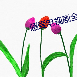 暖愛電視劇全集35集免費播