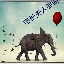市长夫人尝谕末删减txt