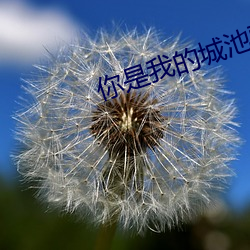 vwinӮ(й) - ٷվ