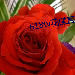 618tv花(huā)碟直(zhí)播