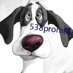 538prom精品视频在线播