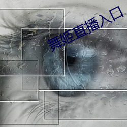 舞姬直播入口 （风驰电骋）