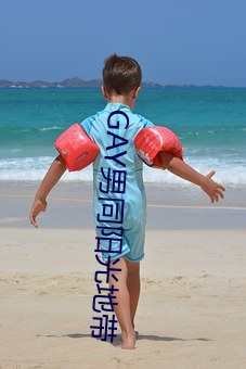 GAY男(nán)同(tóng)阳光地带