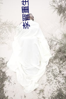 李晋重生2000