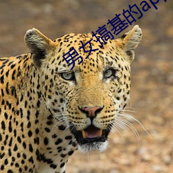 男女搞基的app