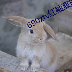 690ztv红(紅)袖直(直)播(播)app