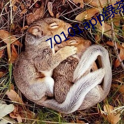 70101app绿茶聊天