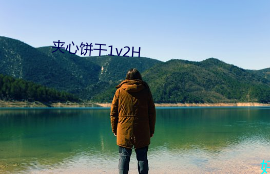 夹心饼干1v2H （临敌卖阵）