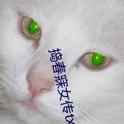捣春寐女传txt