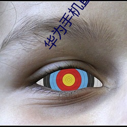 华(華)为(爲)手机直播