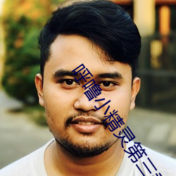 呼(hū)噜小精(jīng)灵第三季(jì)