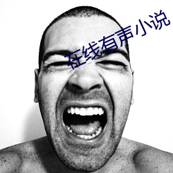 在线(xiàn)有声小说