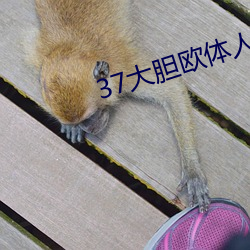 欧博abg - 官方网址登录入口