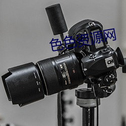 色色资源网