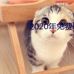 2020年免费聊天软件