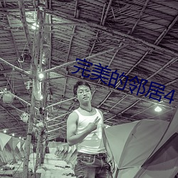 完美的邻(鄰)居4