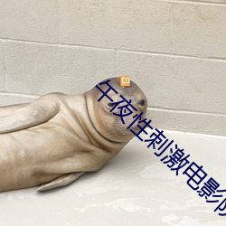 午夜性刺(刺)激电影(影)院(院)