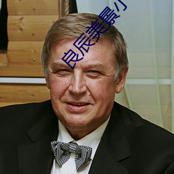 良辰美景小說