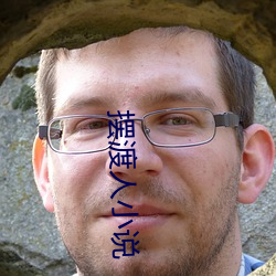 摆渡人小说 （龙盘虎踞）