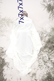AG真人平台(中国)官方网站